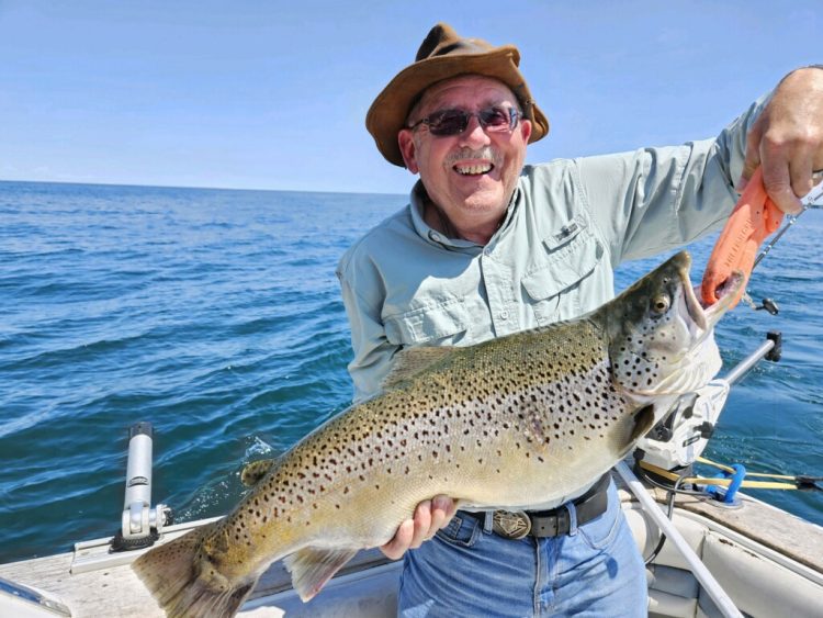 Big Lou brown trout