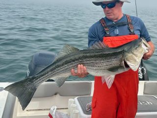 Legit Fish striped bass