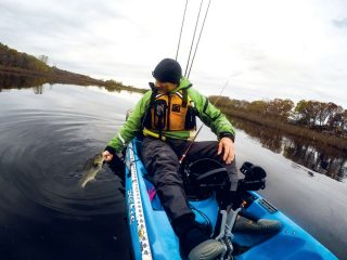 Fall bass from the kayak