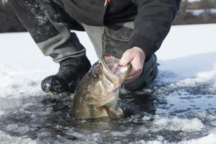 Ice fishing often produces some of the biggest fish of the year for freshwater anglers; Andy Nabreski with a 6-pound largemouth.