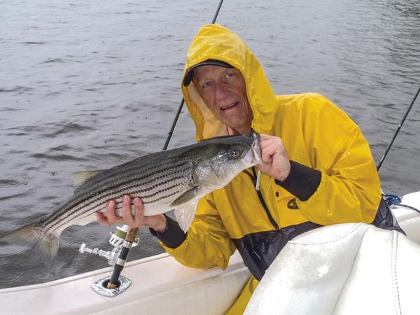 light-tackle spinning striped bass
