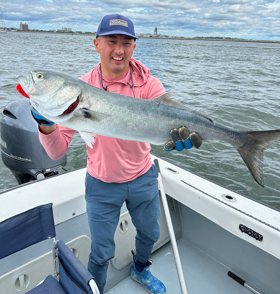 Peter Neal with big bluefish.