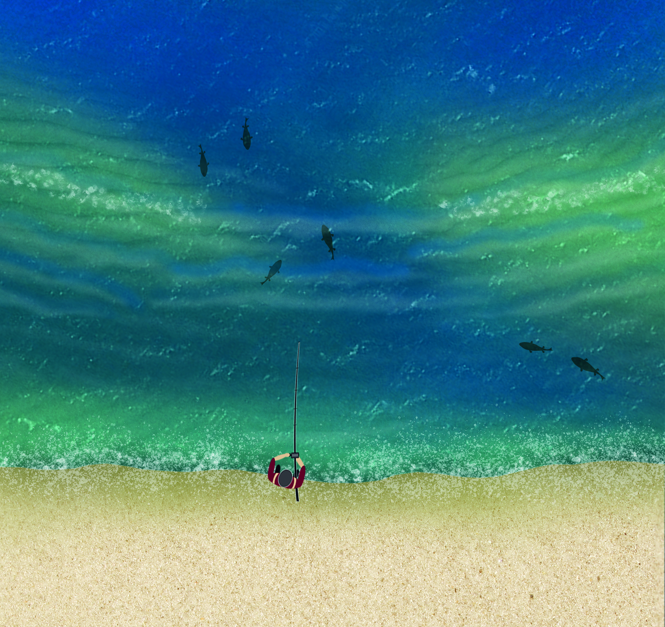 Beach Fly Fishing